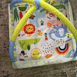 Baby Play Gym Mat 