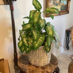 Fake Plant