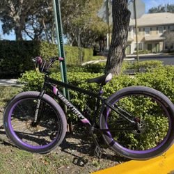 Maniac flyer SE Bike