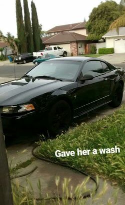 2000 new edge mustang