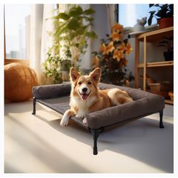 Cooling Elevated Dog Bed with Removable Bolster