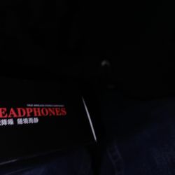 Head Phones For Translation