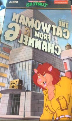 NECA Teenage Mutant Ninja Turtles (TMNT) “The Catwoman From Channel 6” action figure 