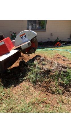 Tree Remover/ Stump grinder