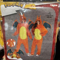 Charizard Costume 