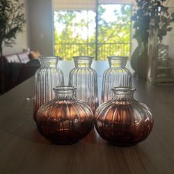 5 SMALL  Transparent Ombre Decorative Vases