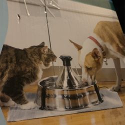 Pet safe Stainless Drink Well