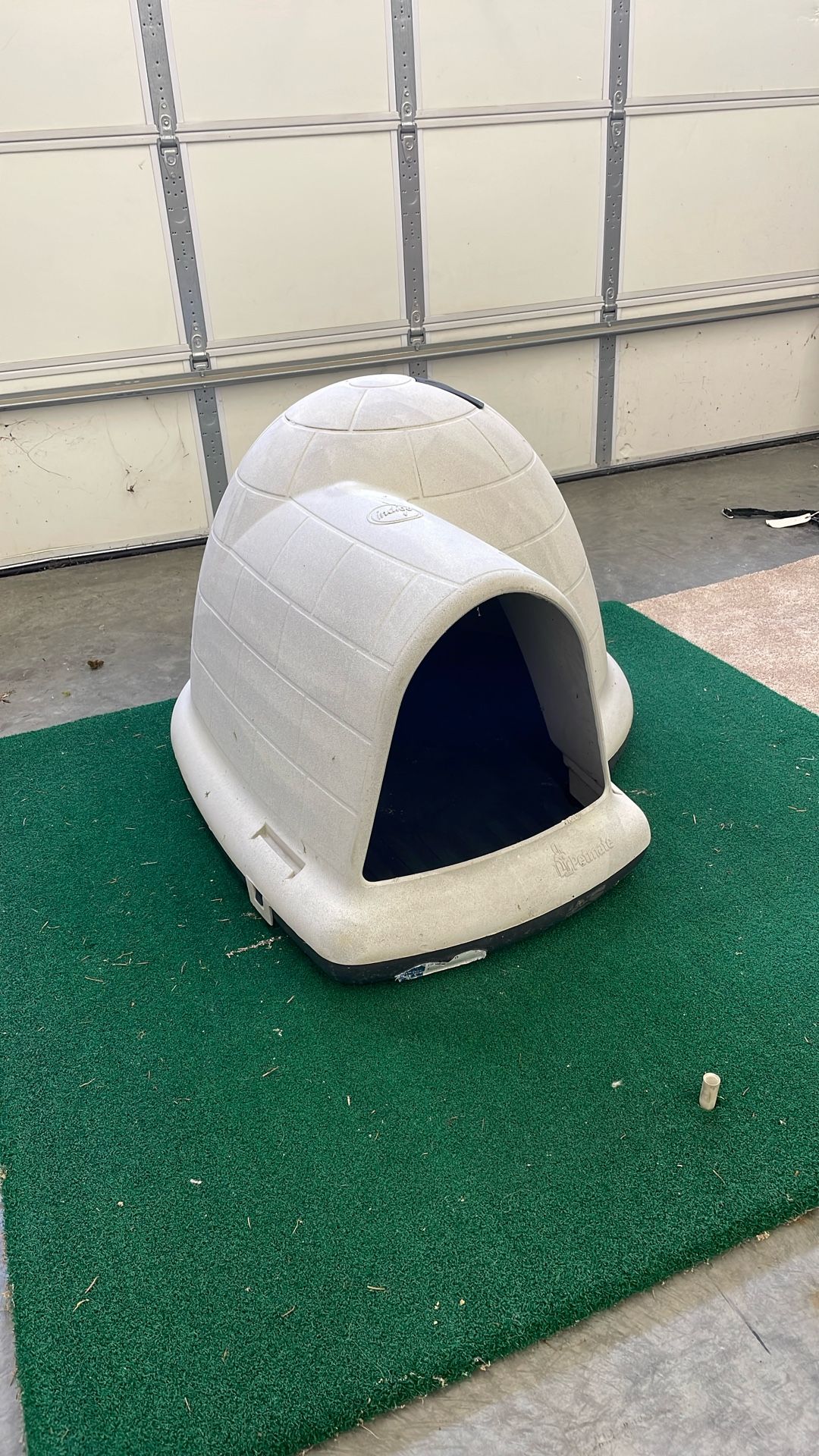 Dog Igloo