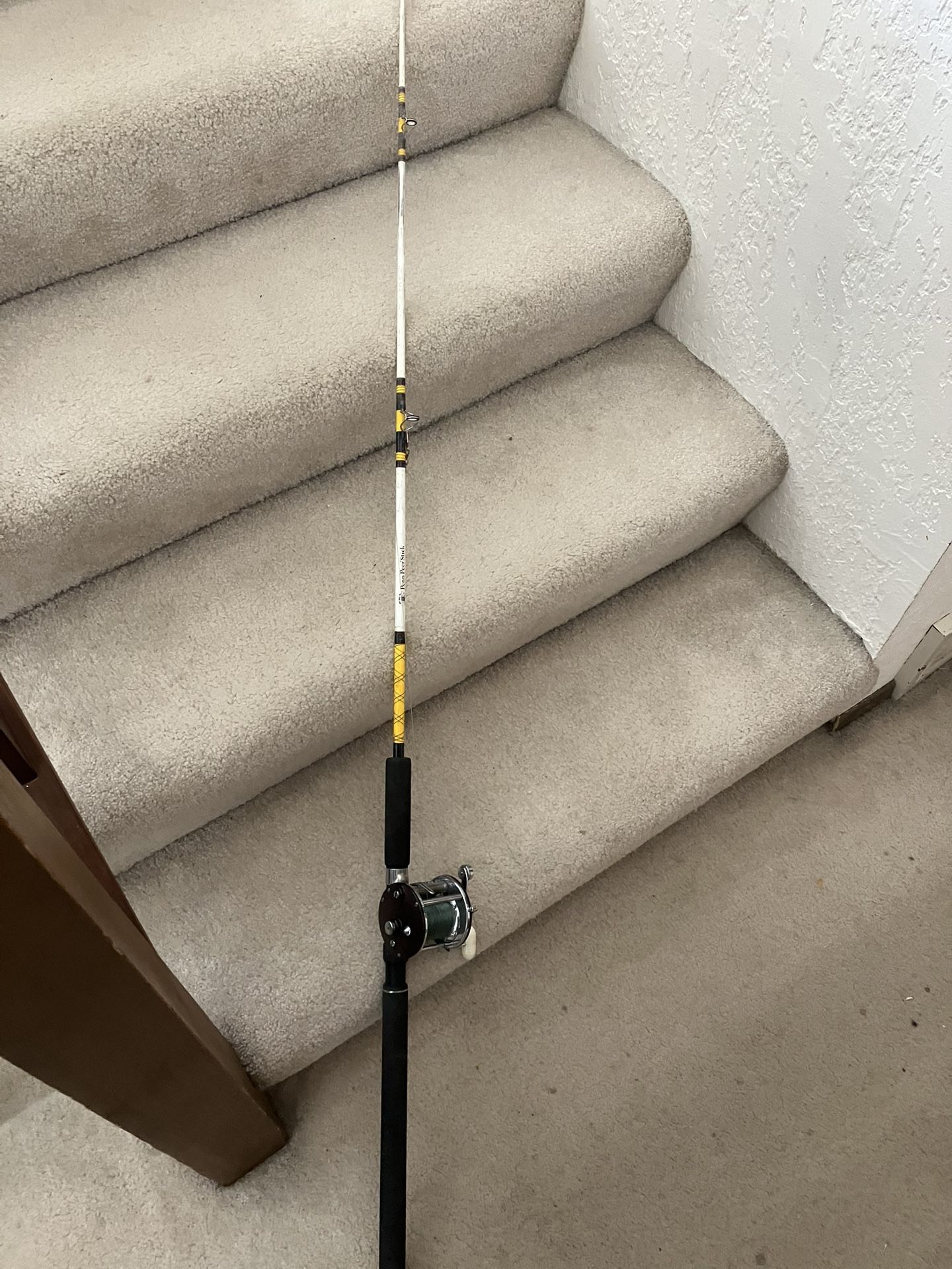 Salt Water Fishing Rod
