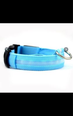 Dog Leash