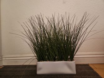 Grass Decoration