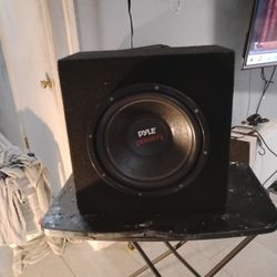 Pyle Speaker Box