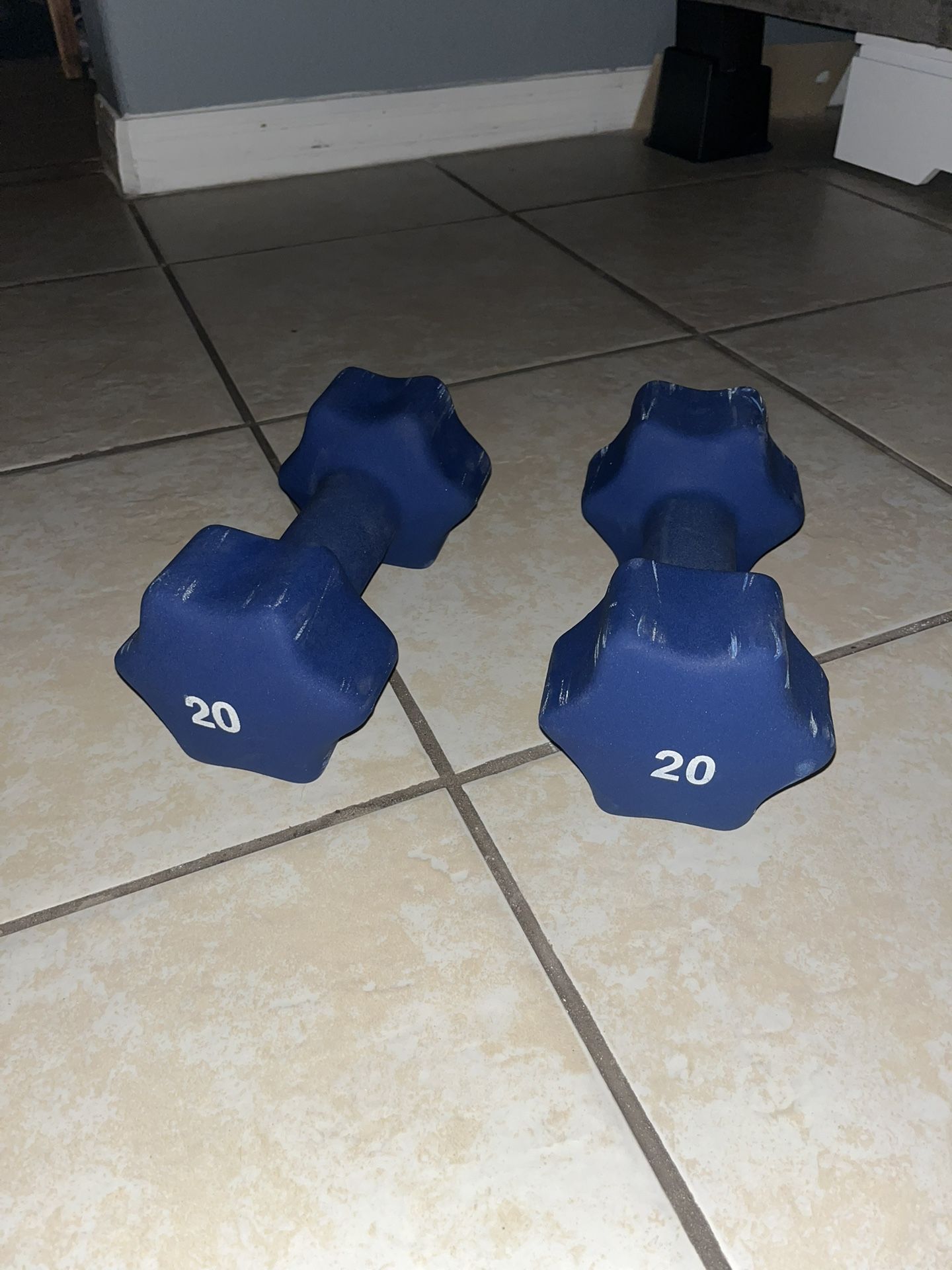 20lb Dumbbells