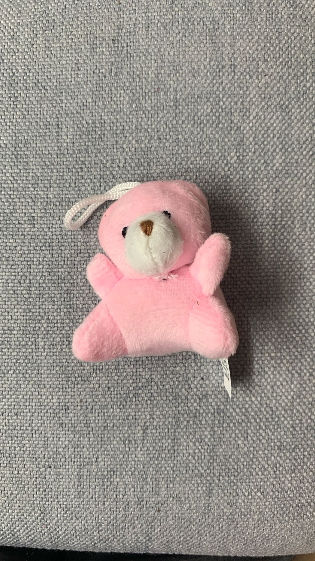 Miniature Plush Bear