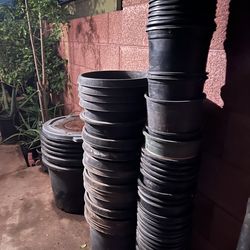 Come on down to take theses out of my hands plants container buckets