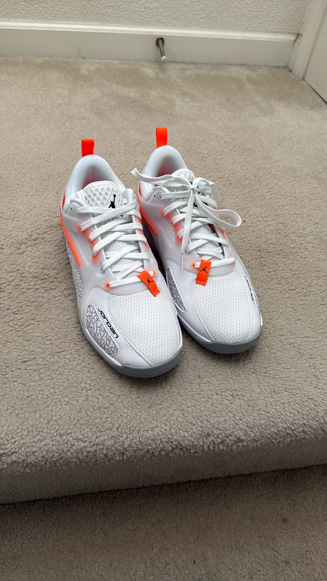 Jordan Elephant Print