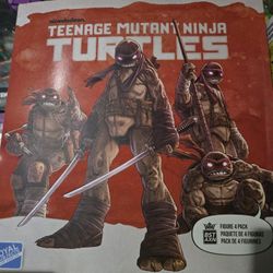 Turtles