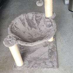 Cat Activity 