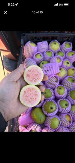 Fruta mexicana