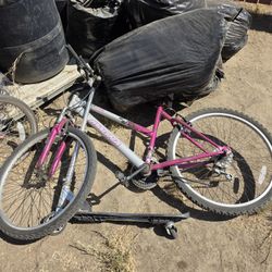 Old Mountain Bike