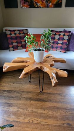 Rustic Live Edge Teak Wood Coffee Table with Black Metal Hairpin Legs
