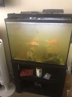 I clean and restore any size fish tank here is my cleaning before and after skills