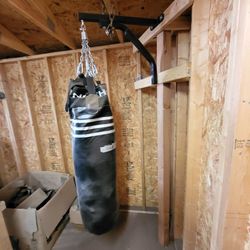 Heavy bag with mount.