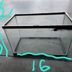 Aquarium Free.