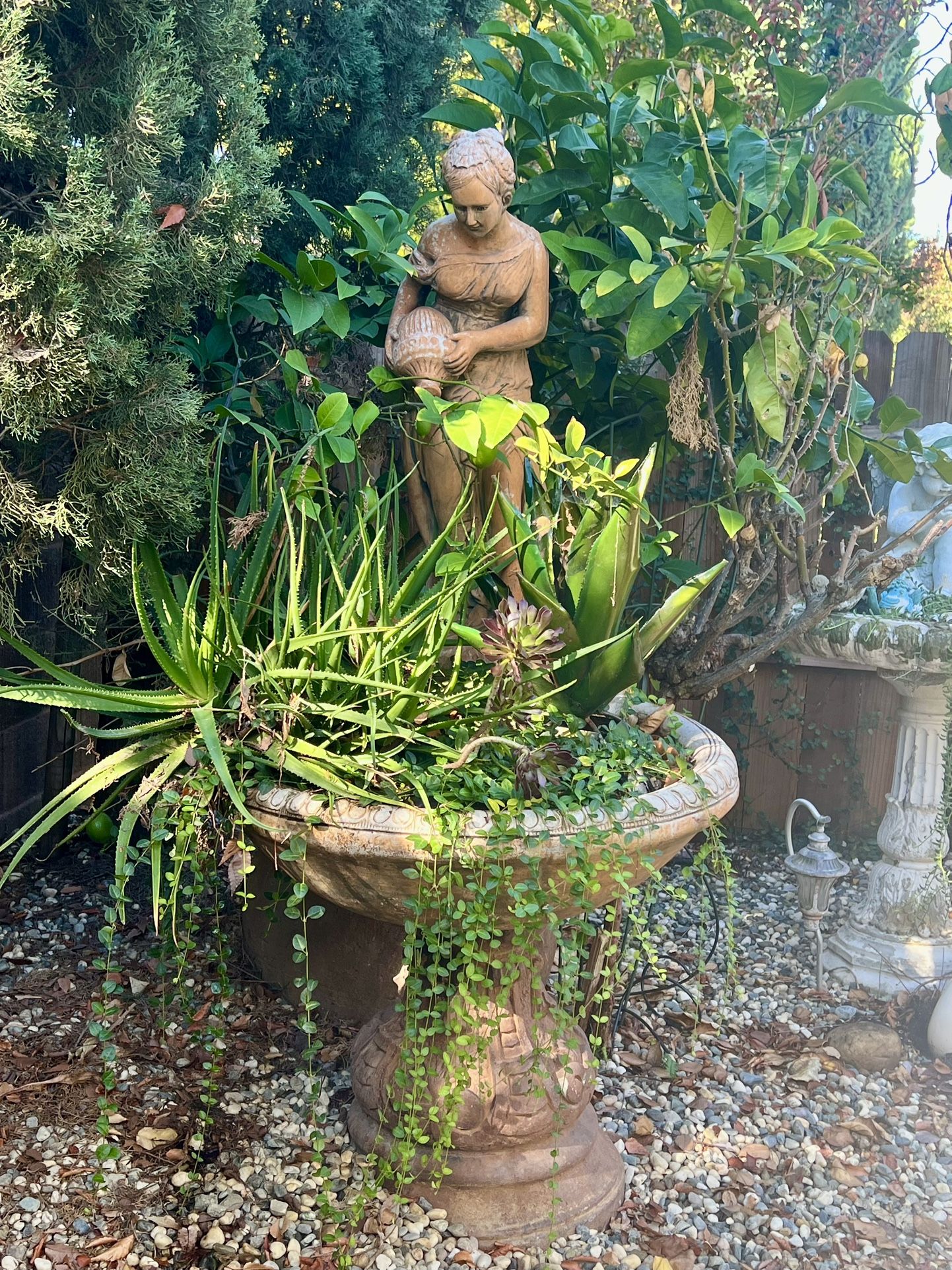 Beautiful!  Fountain Converted to  a Planter