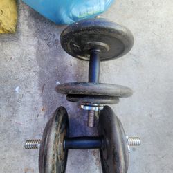 35 Pound Dumbbells 