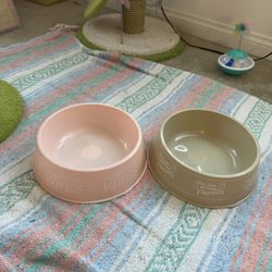 two pet dog bowls 