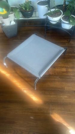 Elevated Dog Bed
