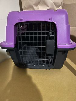 Cat’s cage