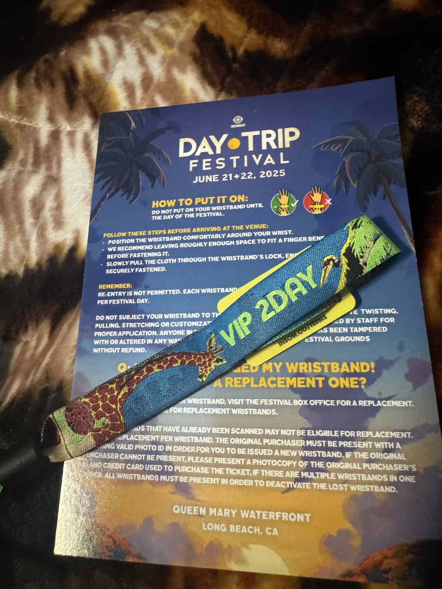 Day Trip Festival VIP