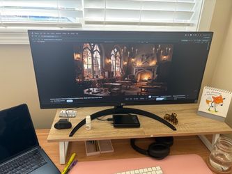 LG 29” monitor