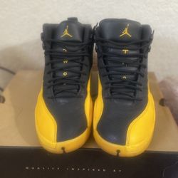 Jordan 12 University Gold