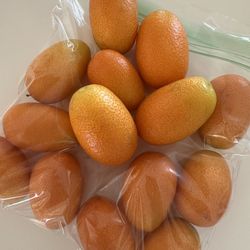 Kumquat fruit（15 pieces per small pack）