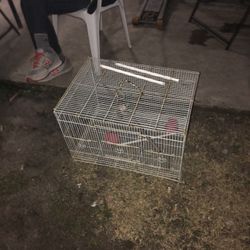 Bird Cage
