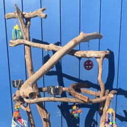 Macaw - Cockatoo Fun And Socialization… Hard Durable Ribbon Wood 🪵.,, ❤️
