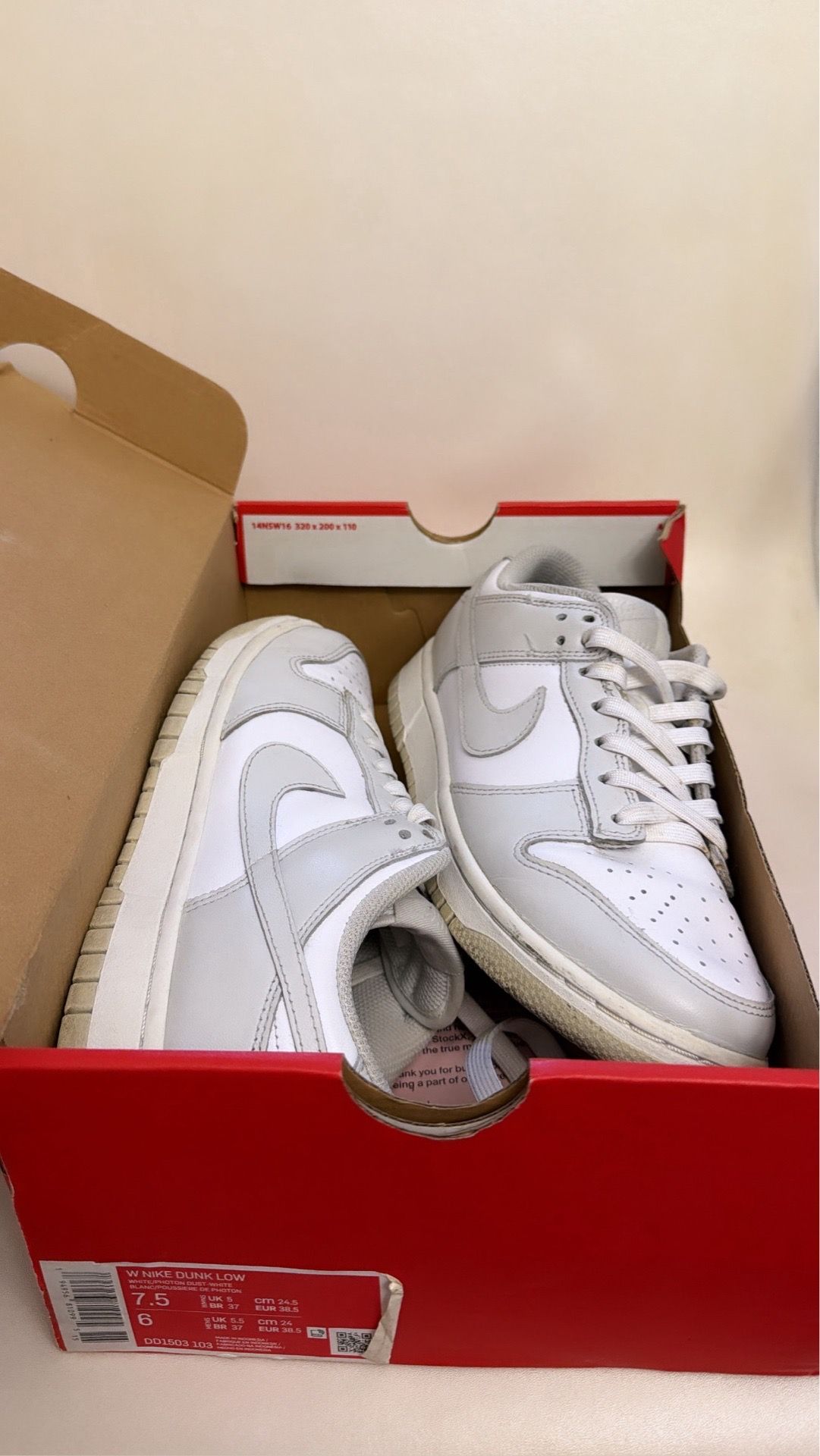 Grey Nike dunk low