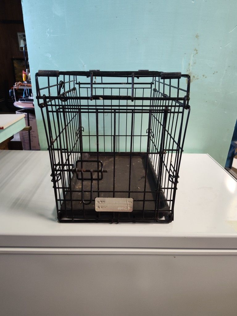 Kennel
