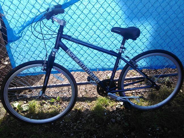Schwinn bike