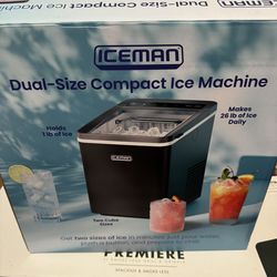 Icemaker