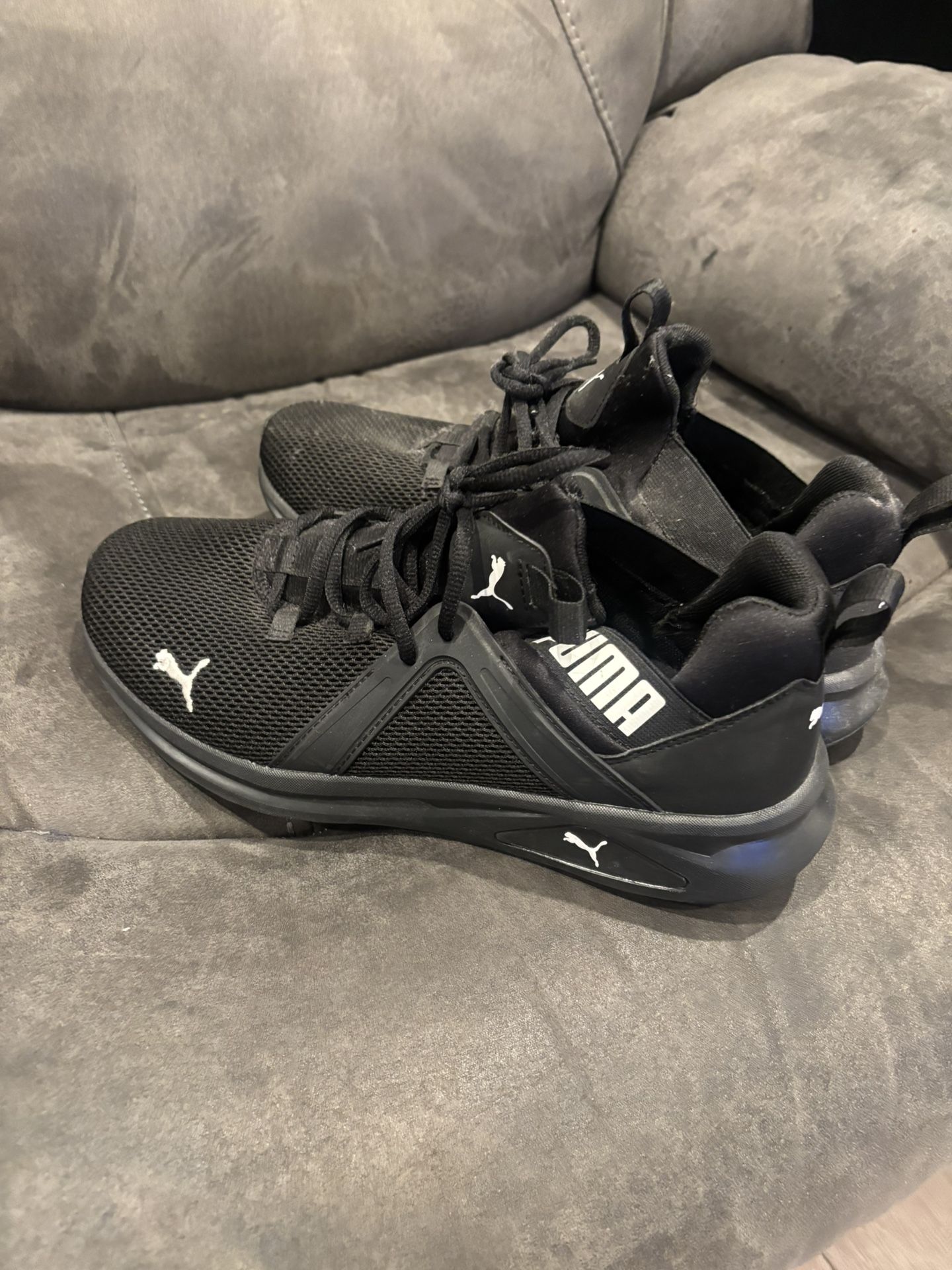 Puma