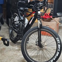 Toury High-Step Electric Bike