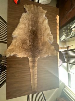 Genuine Kangaroo Hide from Australia- Piel de Canguro Auténtica de Australia