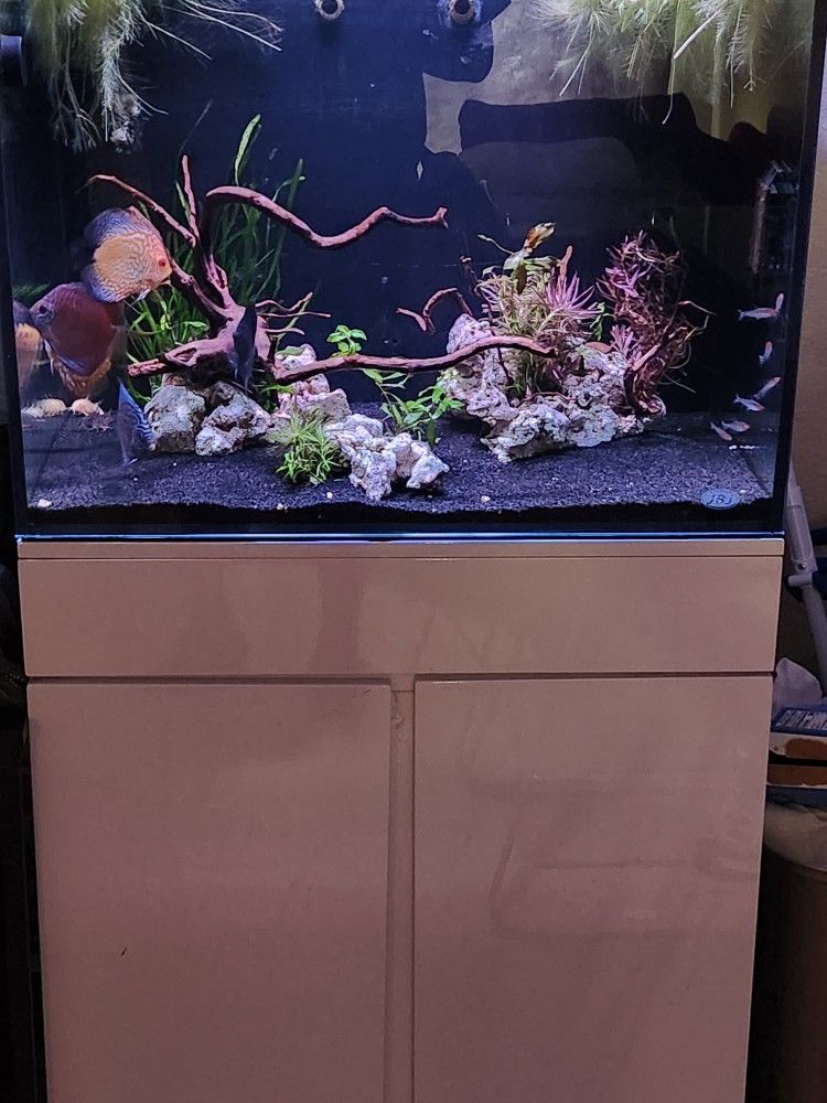 Fish Tank For Sale