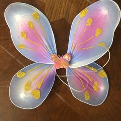 Butterfly Wing