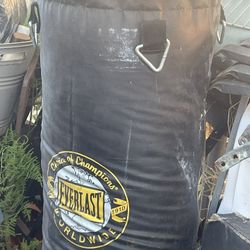 Everlast Boxing Bag