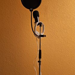 Mic With Tripod And Pop Shield And Headsets